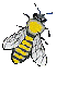 animal-graphics-bees-522730