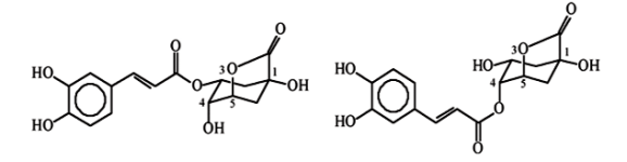 chlorogenic-acid-lactones
