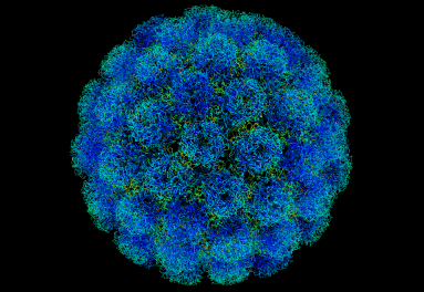 Representative Image of SV40 Image from Wikipedia