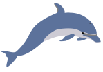 dolphin